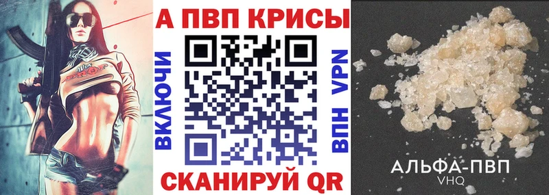OMG как войти Звенигород Альфа ПВП крисы CK