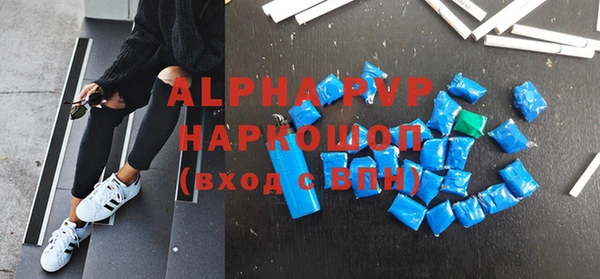 прущие грибы Верхний Тагил