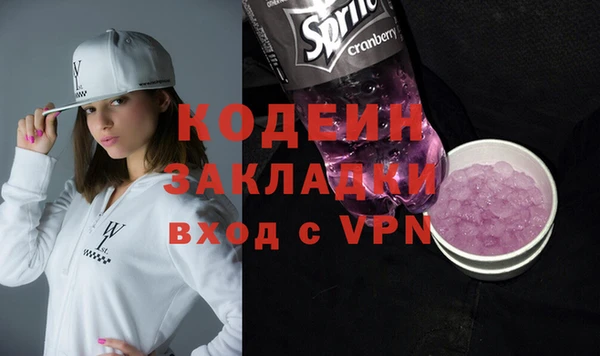 прущие грибы Верхний Тагил